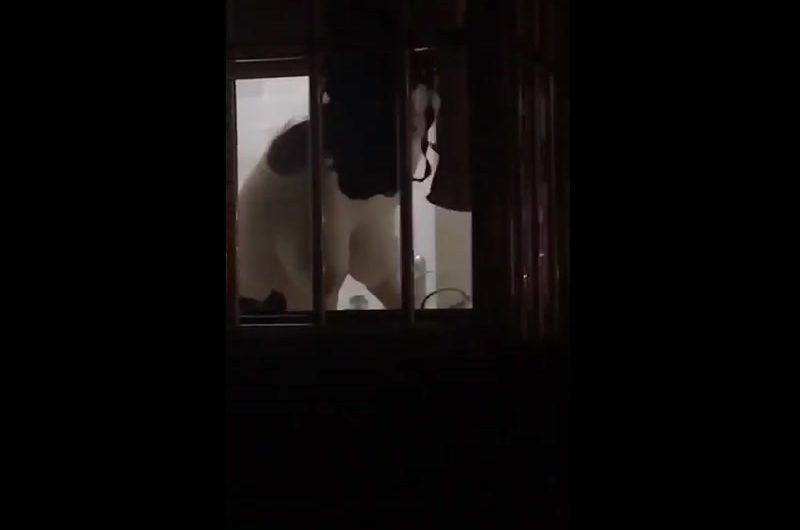 感谢对面美女邻居送来的大心心