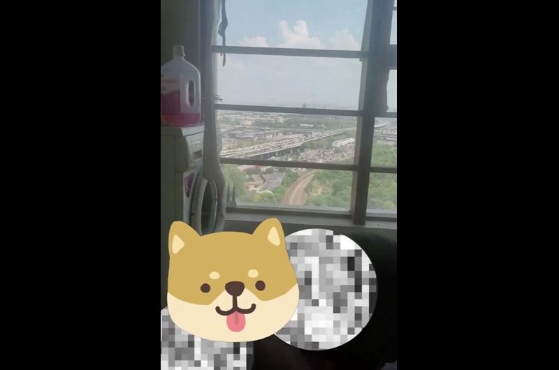 主人看着窗外的风景喝着茶，贱狗给主人做足底按摩，惬意啊哈哈哈 @