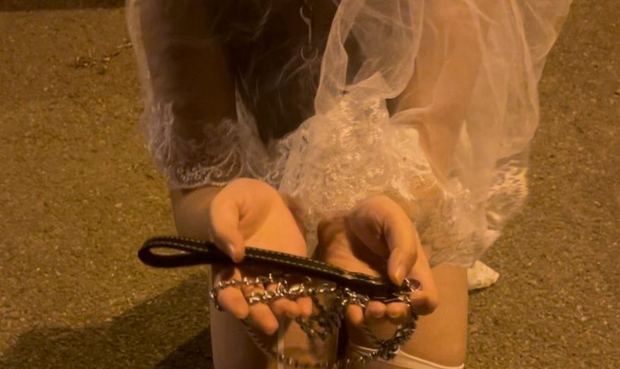 这个账号 已经被盗了，不要被骗了 发布的作品都是我本人.