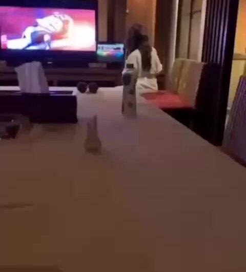 看看批😋 wataa